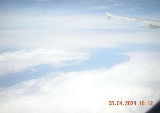 skywingforever